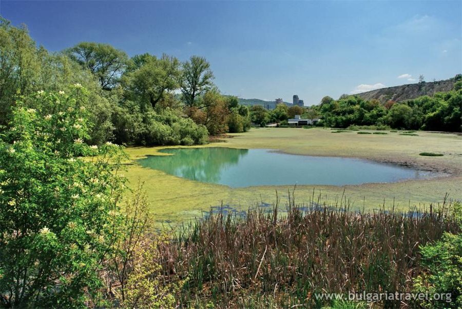 Карстов извор Златна Панега - Златна Панега