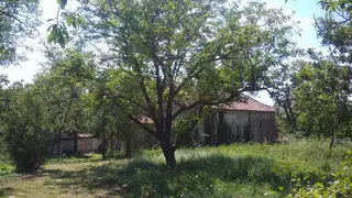 Църква "Св.Николай Чудотворец" - с.Змейово