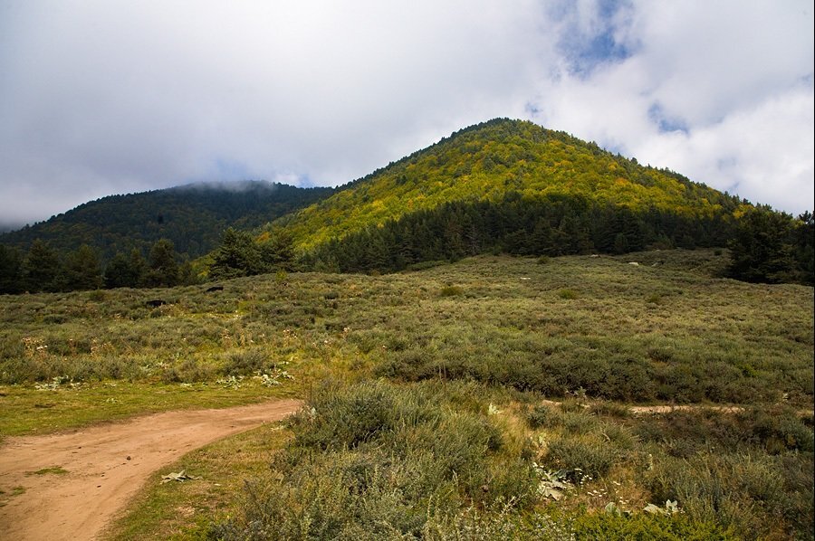 Връх Муторок