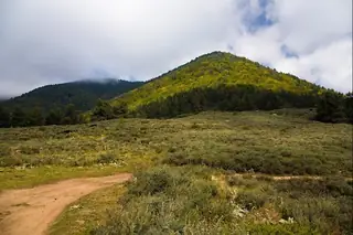 Връх Муторок