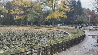 Езерото с лилиите - София