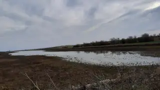 Язовир Каменец