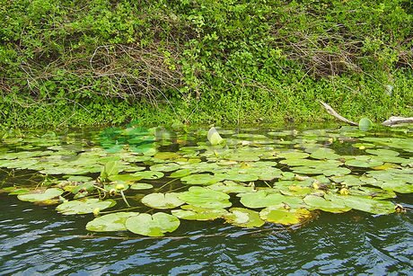 Поддържан резерват "Вельов вир"