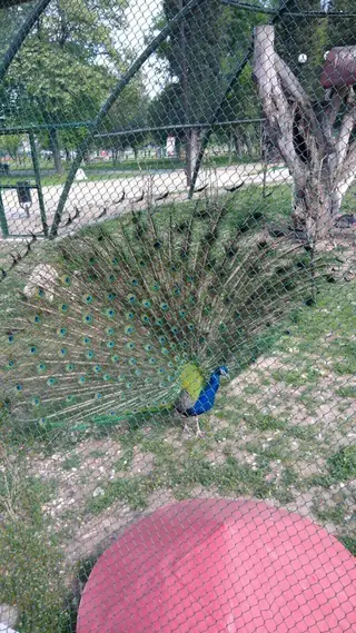 Артилерийски парк - Стара Загора