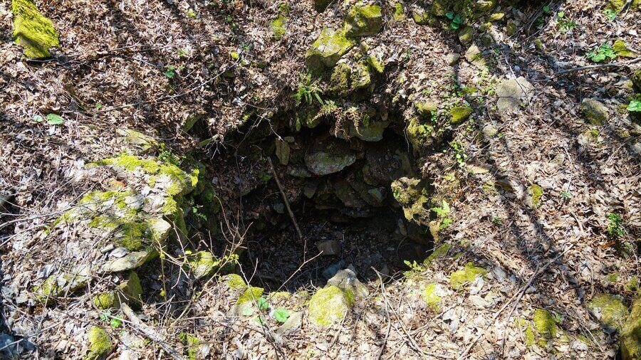 Крепост "Петрица" - Петрич