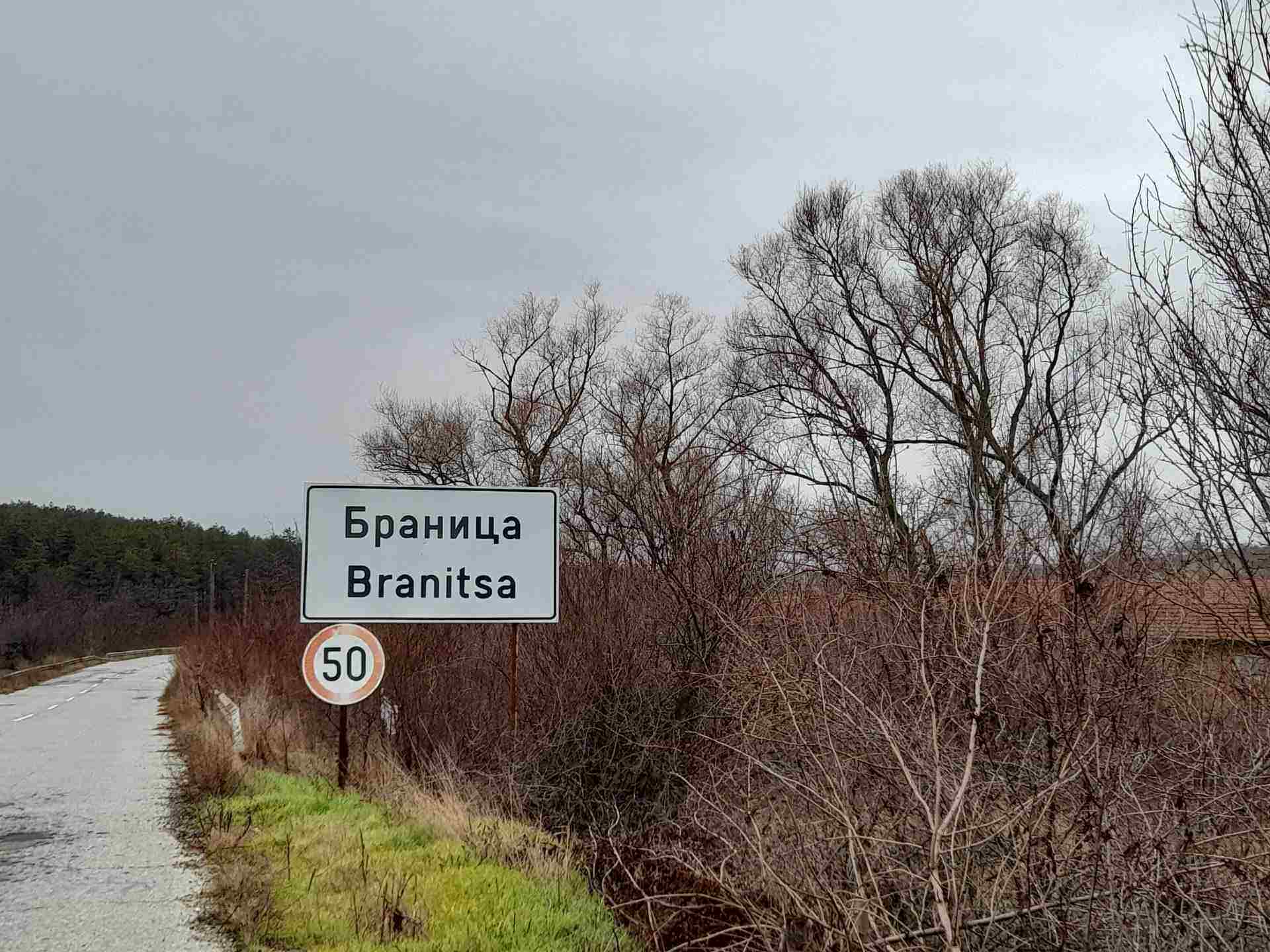 Браница