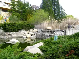 Парк "Свети Врач" – Поленица