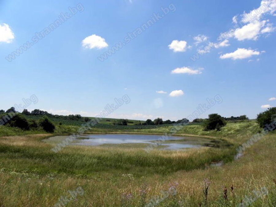 Езеро Старжива бара - Деветаки