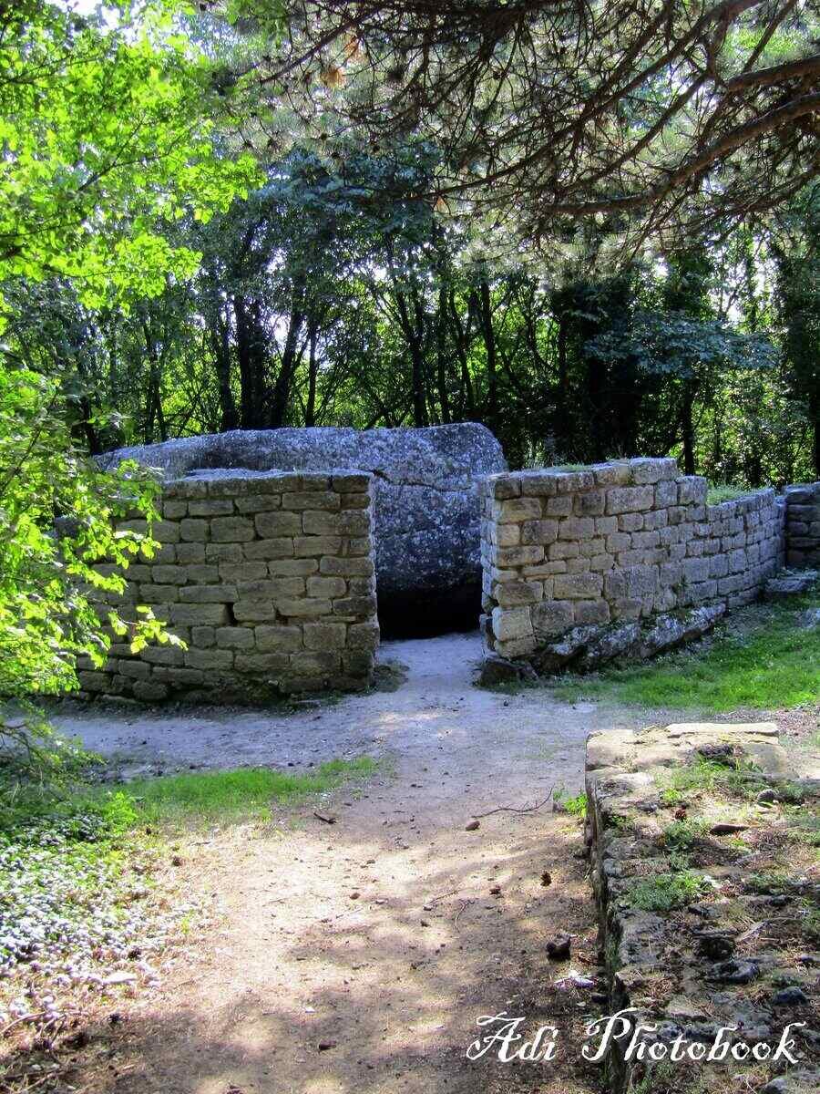 Даул таш (Капище) - с. Мадара