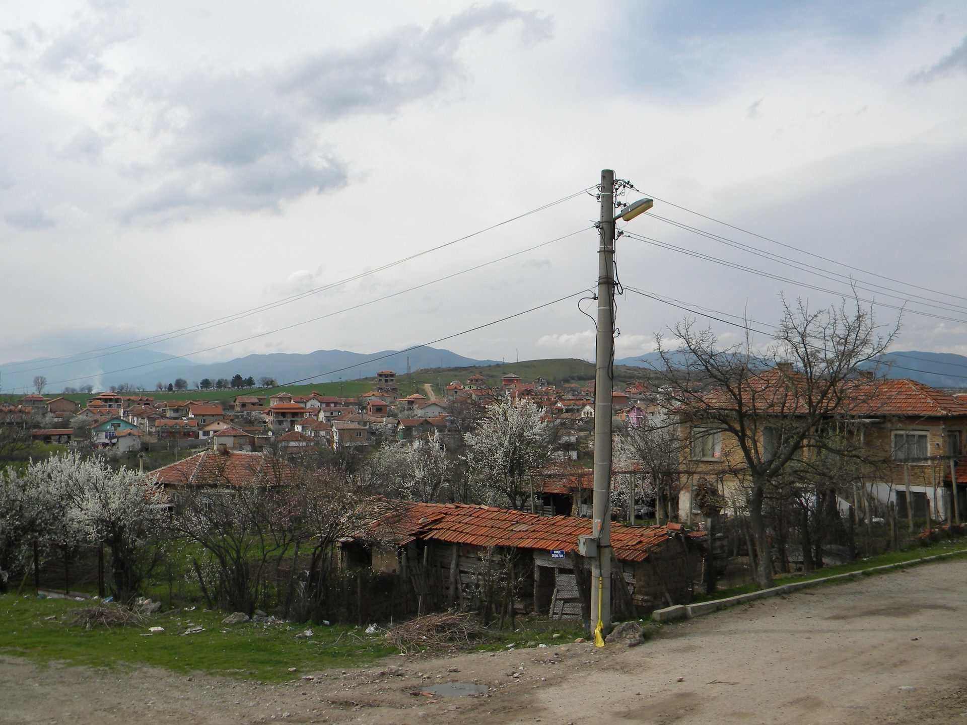 Паничерево