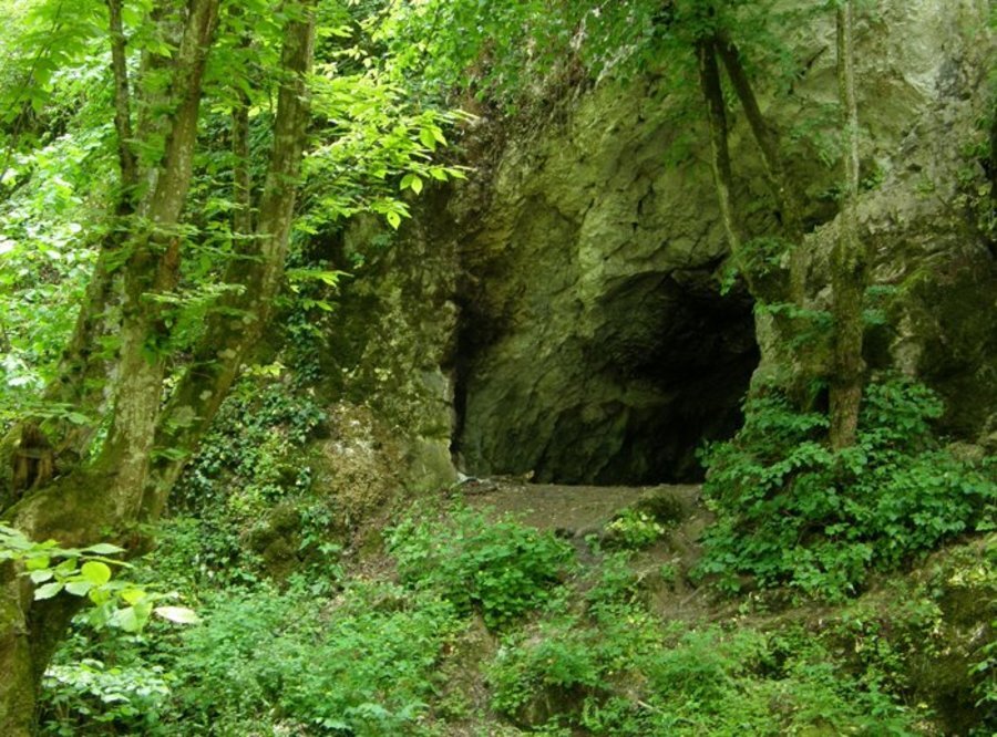 Защитена територия "Босна" - Младежко