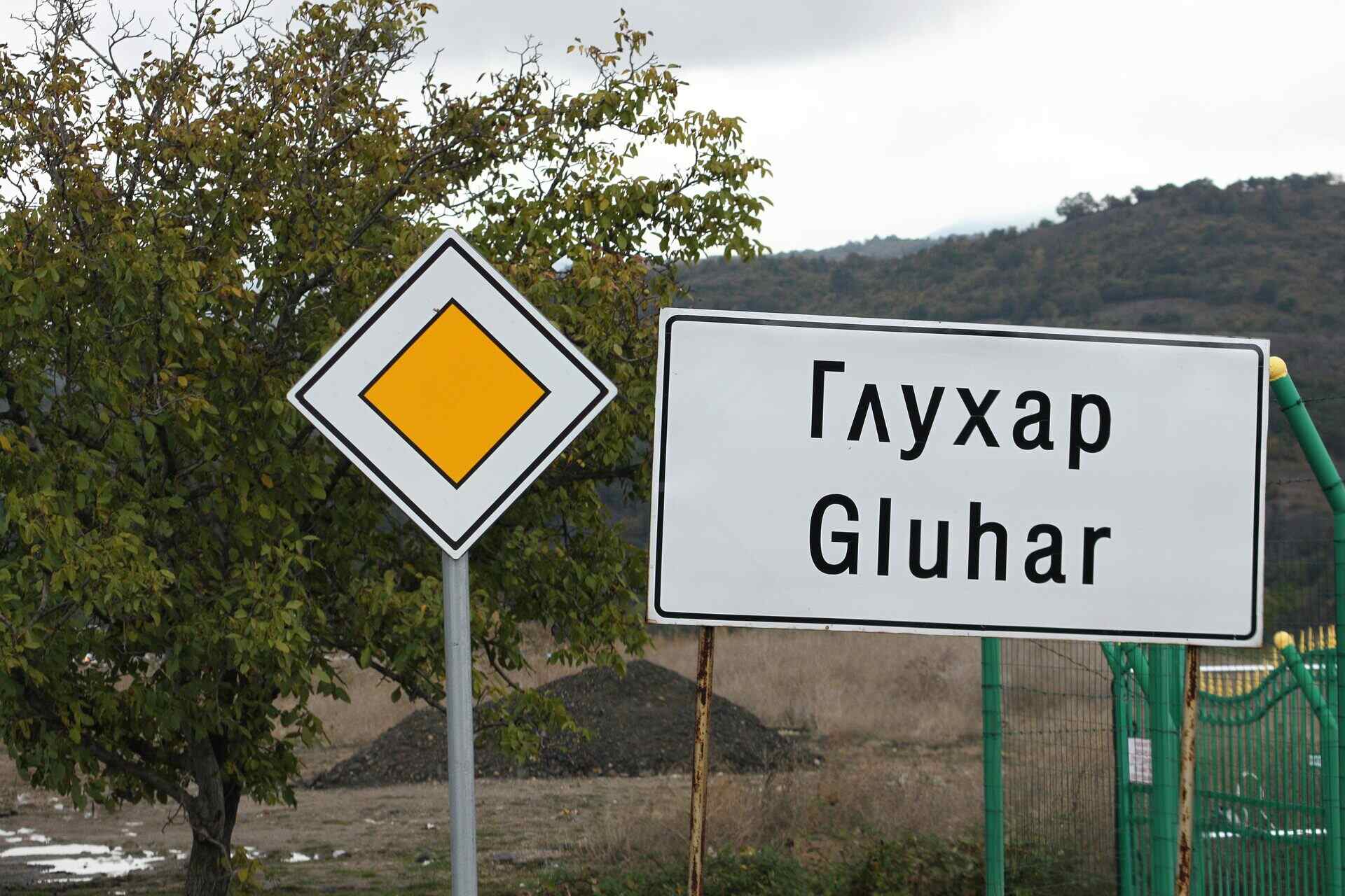 Глухар