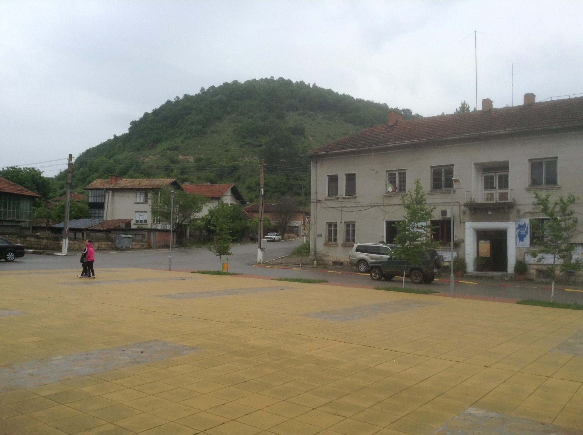 Сваленик