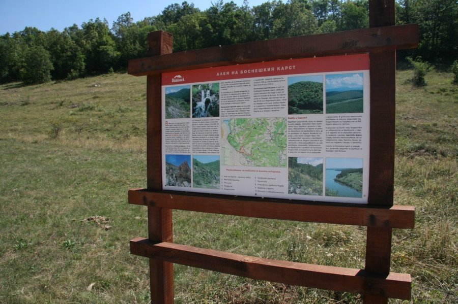 Алея на Боснешкия карст - Боснек