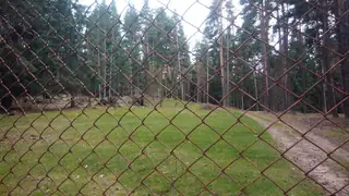 База за интензивно развъждане на дивеч - с. Юндола