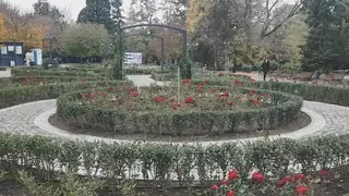 Розариум - Борисова градина