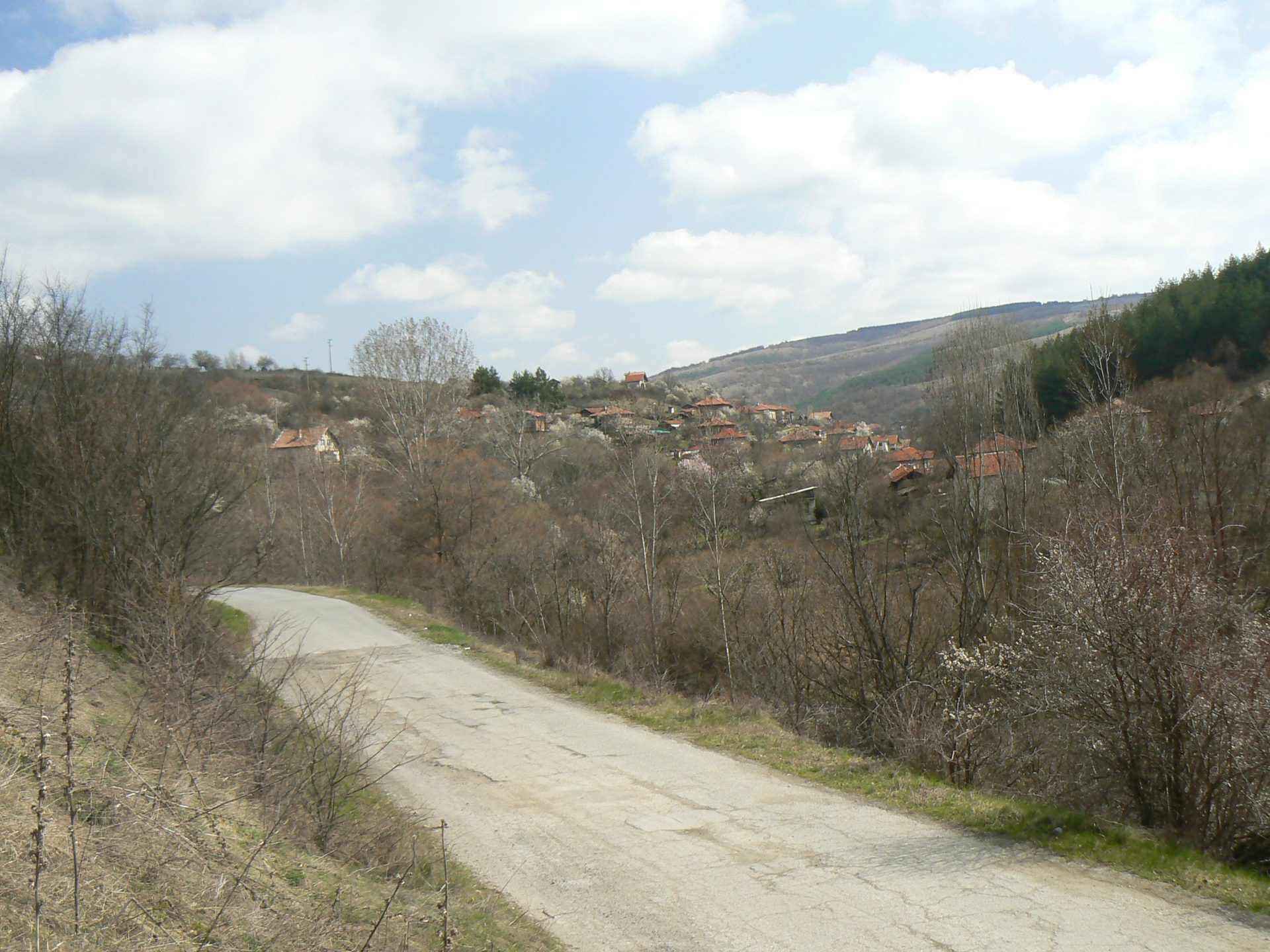 Тополница