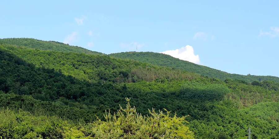 Защитена местност "Еледжик"