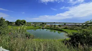 Еко парк Вая