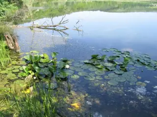 Малопреславско блато - Малък Преславец