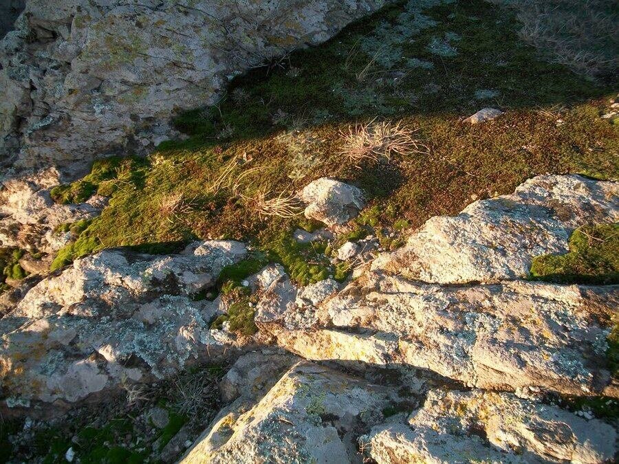 Тракийско светилище "Мочукови камъни" - Мелница