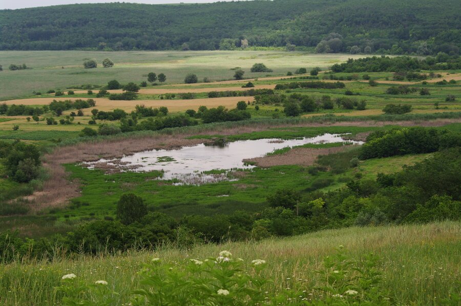 Гарванско блато