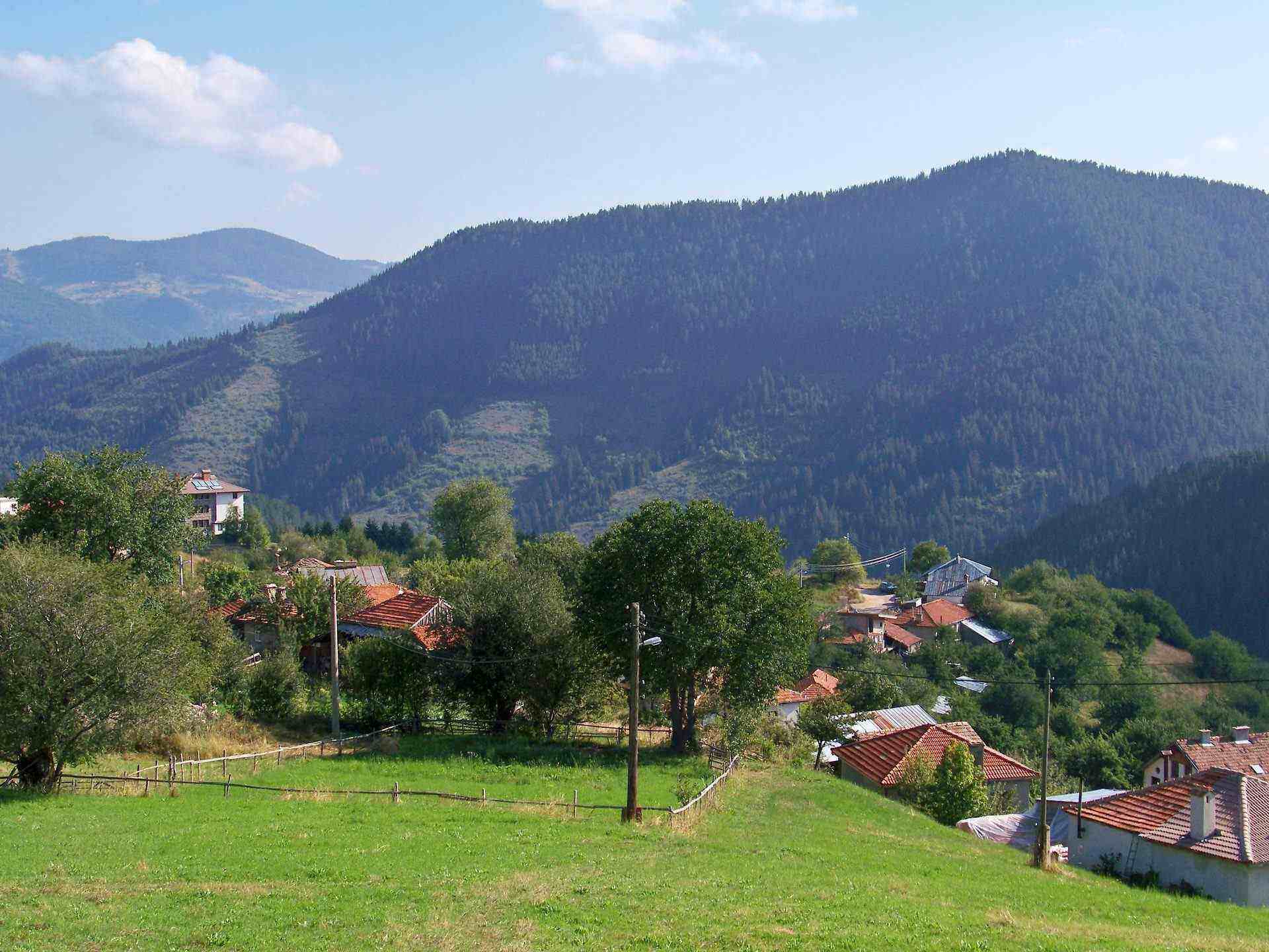 Гела