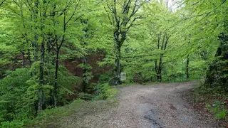 Екопътека "Хайдушки водопади" - Берковица