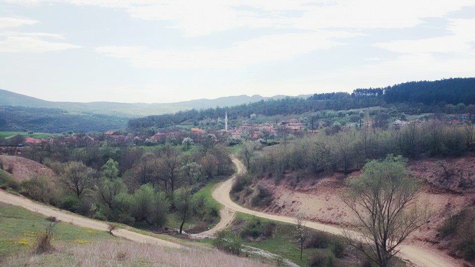 Вишна