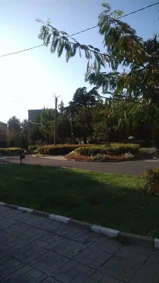 Градска градина - Камено