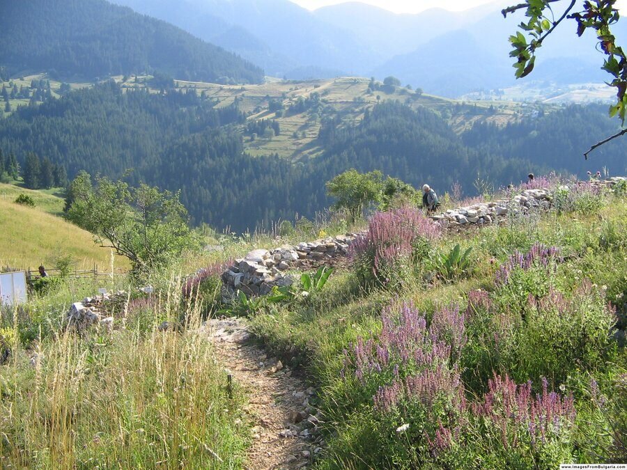 Ботаническа градина "Градината на Орфей" - Солища