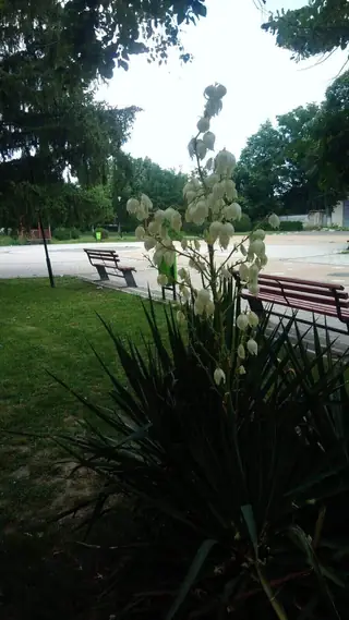 Градски парк - Николаево