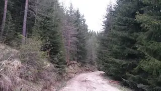 Маршрут връх Гребенец - Девин