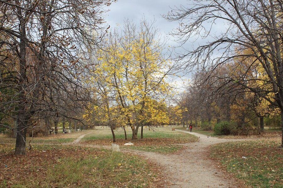 Парк "Славия" - София