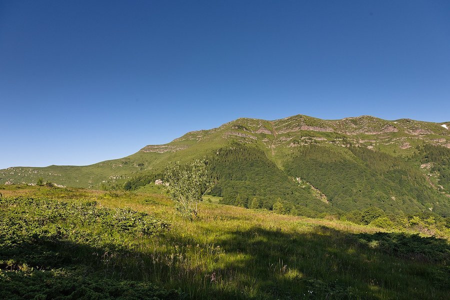 Връх Копрен