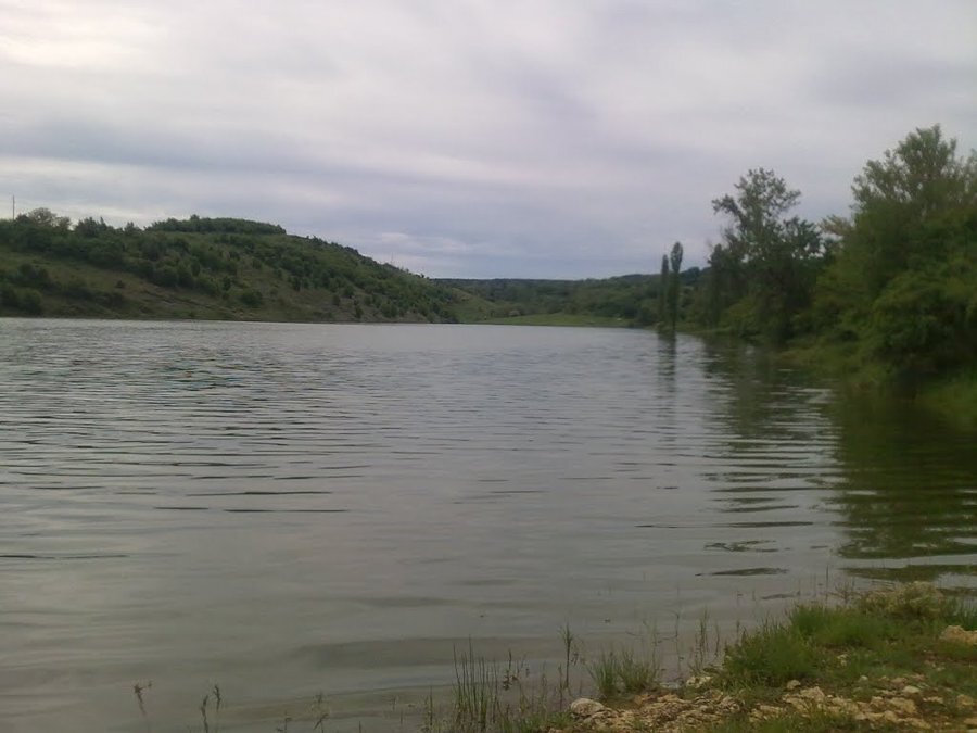 Язовир "Драшан"