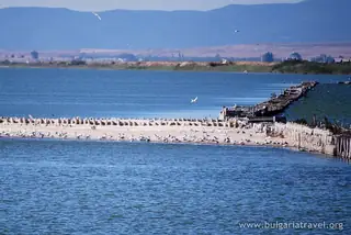 Поморийско езеро