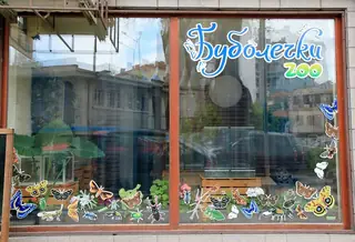 Буболечки Zoo