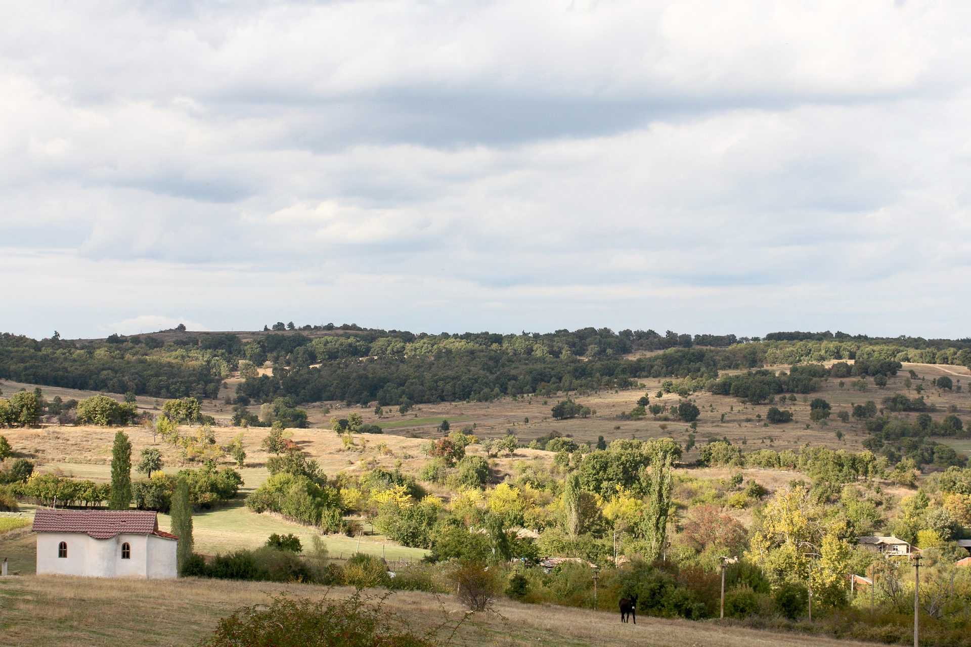 Железино