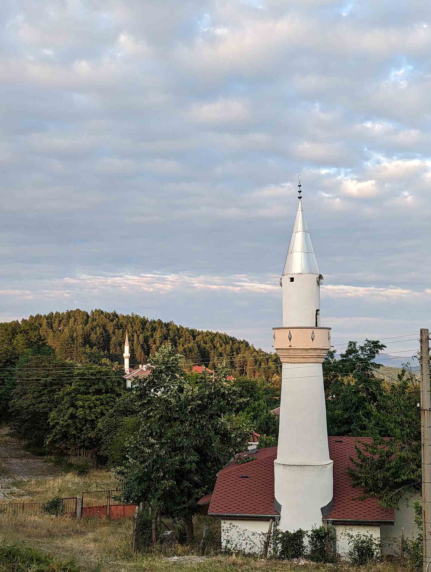 Чубрика