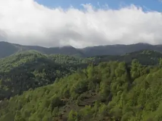 Защитена местност Гюмюрджински снежник