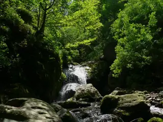 "Хайдушки водопади" - Берковица