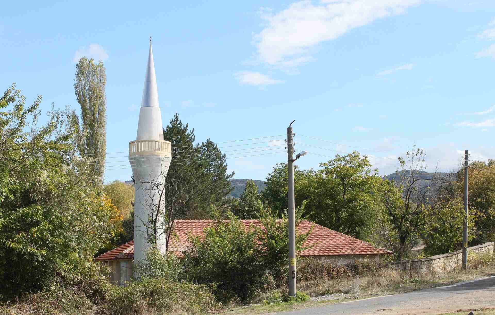 Нановица