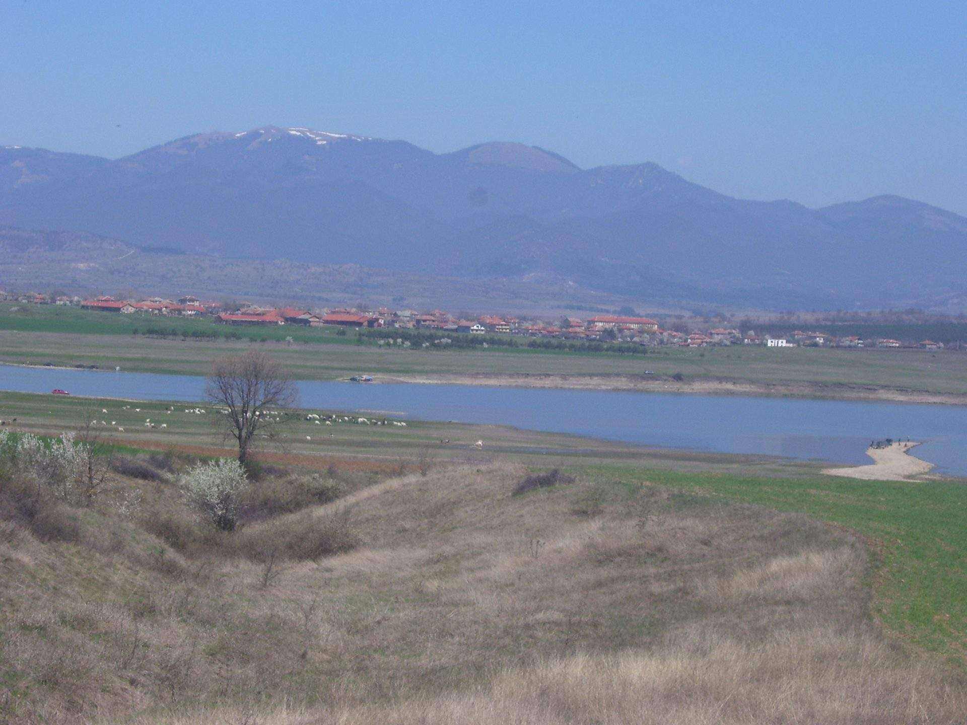 Беловица
