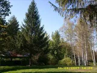 Местност "Сайганица"