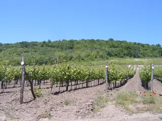 Местност "Тъпаните" - Блъсково