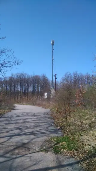 Връх Търсовица