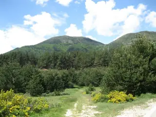 Велопътека "Млаки"