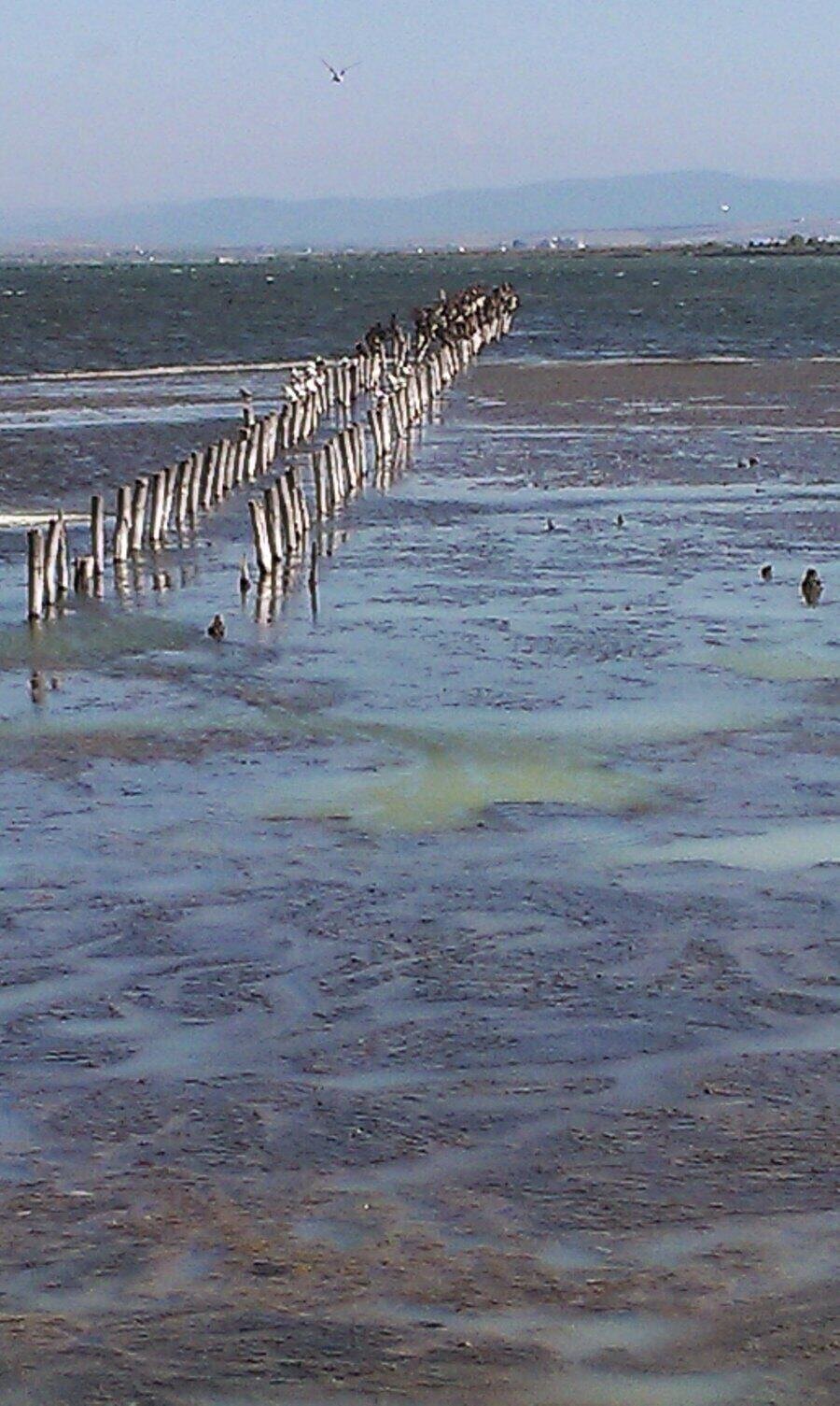 Музей на солта