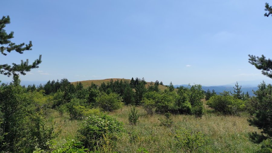 Връх Свети Илия - 1030 м.